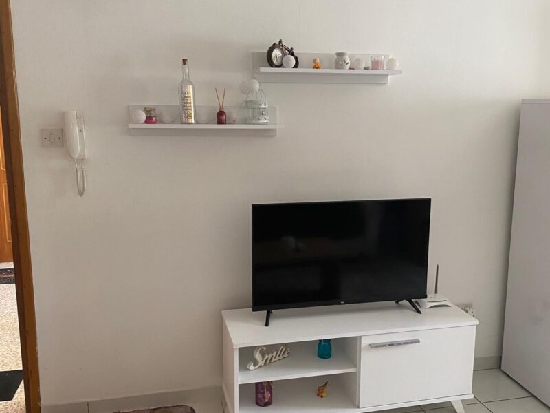 GREEN CENTER, LAVASH OPPORTUNITY APARTMENT